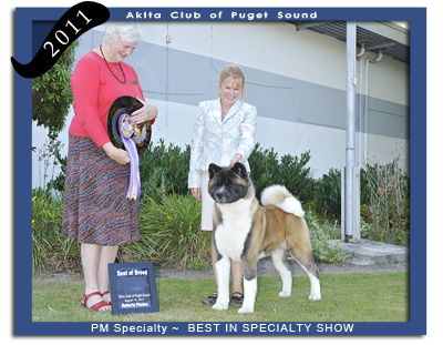2011  ACPS PM Best In Specialty Show